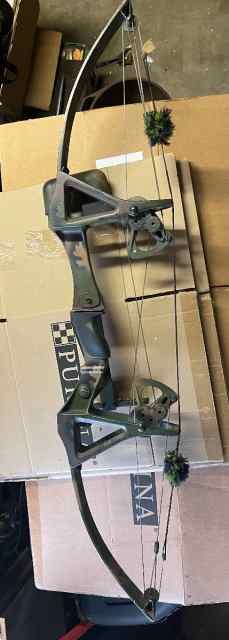 Vintage Bear Delta V Compound Bow very rare!