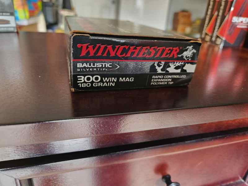 Winchester_Ballistic_Silvertip.jpg
