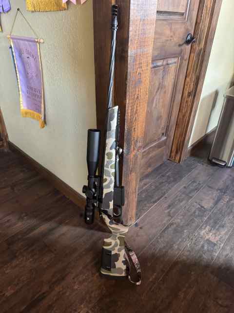 Weatherby model 307 hush