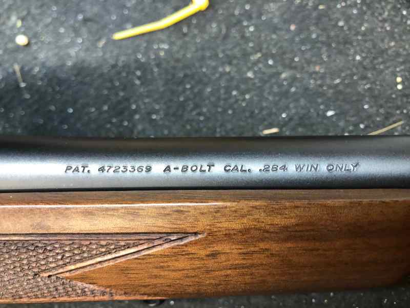 IMG_8636 model-caliber.JPG