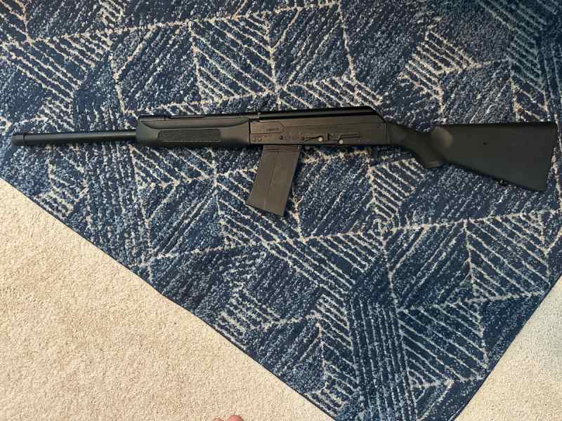 Saiga 12 - 1.jpg