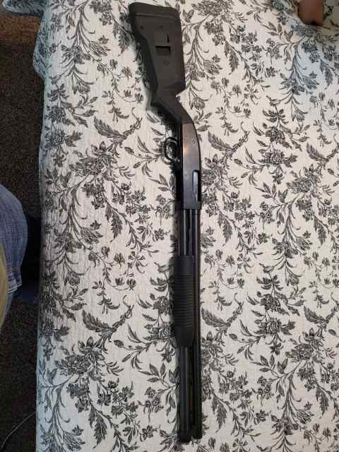 Shotgun 