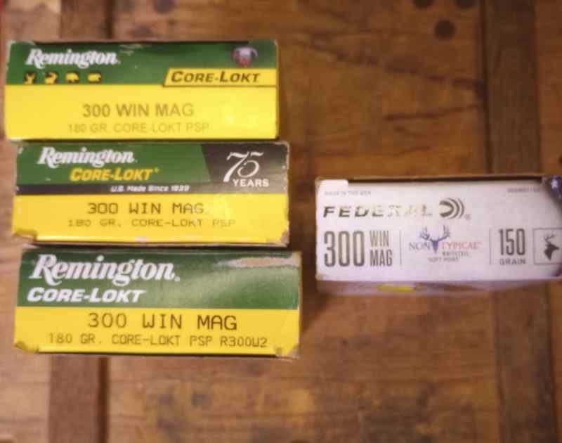 Remington 300 win mag 180gr