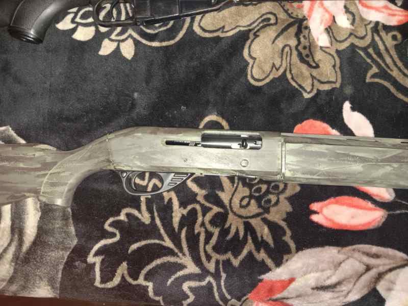 Charles Daly 601 20ga