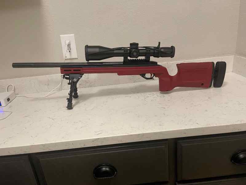 Custom Ruger 10/22 in bravo chassis