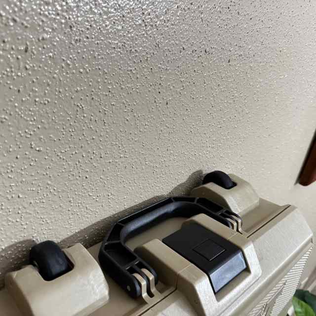 IMG_2924.jpeg