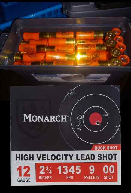 Buckshot!