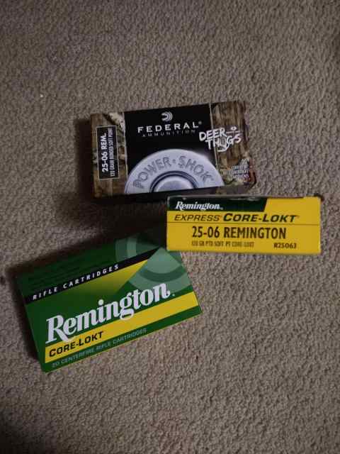 .25-06 Remington Ammo