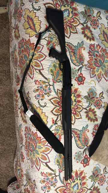 Mossberg 500 12 ga