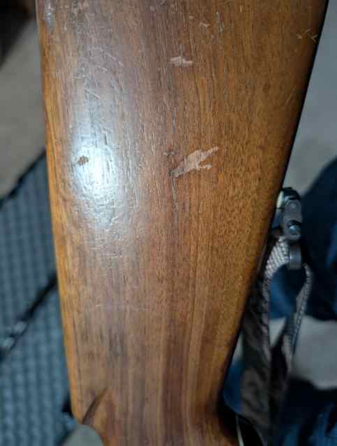 PXL_20250517_181653375.jpg