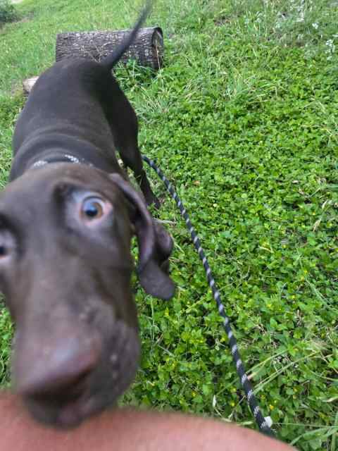 20250507_201053.jpg