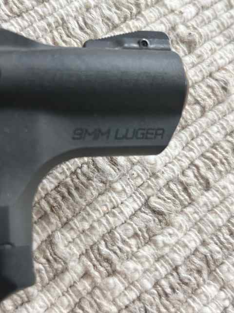 IMG_8184.jpeg