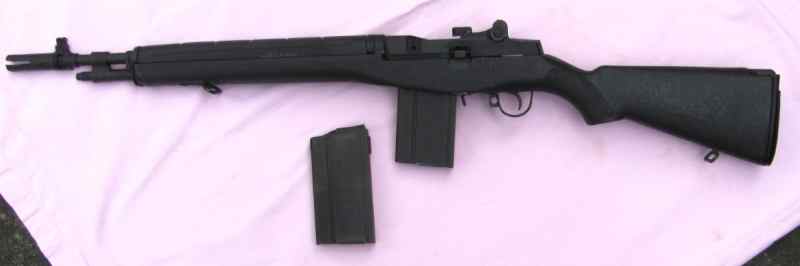 SAI Scout - blk#2b.JPG