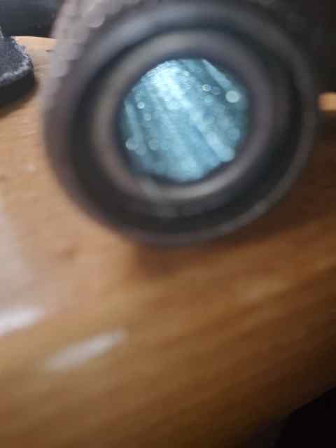 20250705_214732.jpg