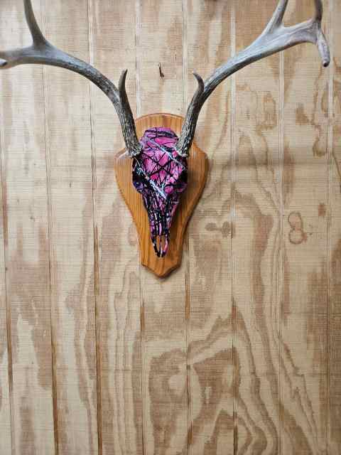 Muddy Girl Skull.jpg