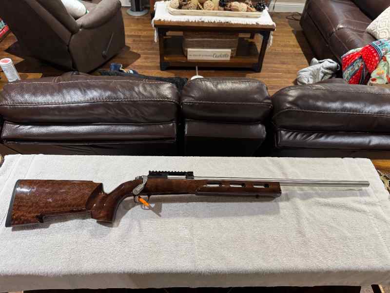 Custom Ruger 77 - .17 Hornet 