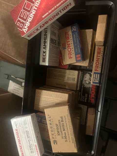 .556 various brands 
