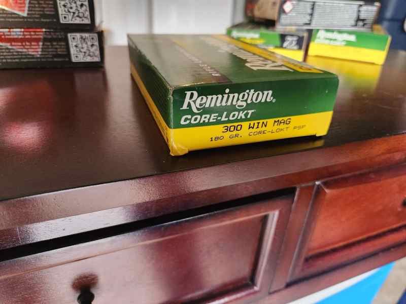 Remington_Core_Lokt_180.jpg
