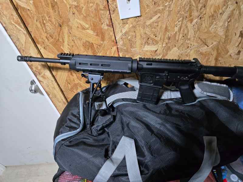 Adams Arms 308 AR 10