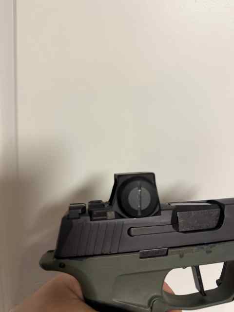 IMG_6790.jpeg