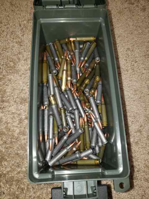 .223 ammo with case