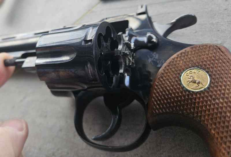 Python ejector.jpg