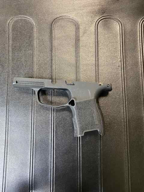 P365 parts 