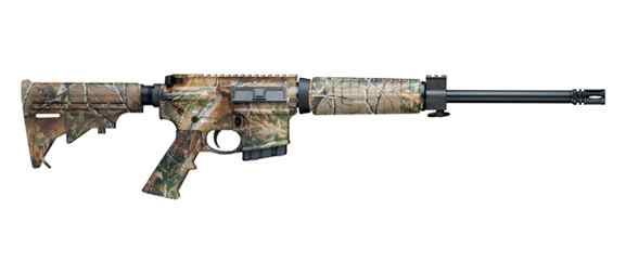 SW AR15 300 BO.png