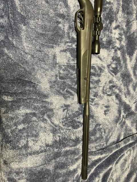 Gamo Wildcat Whisper 22cal