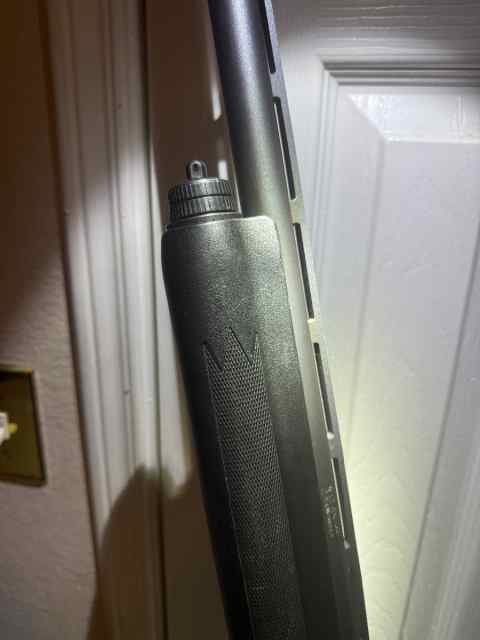 IMG_7405.jpeg