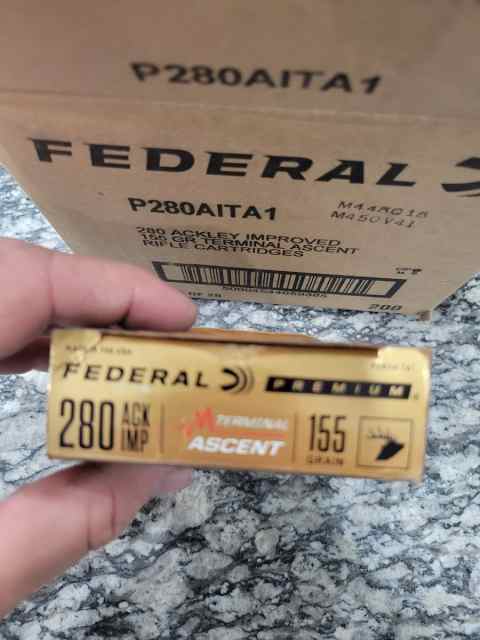 20250429_095400.jpg