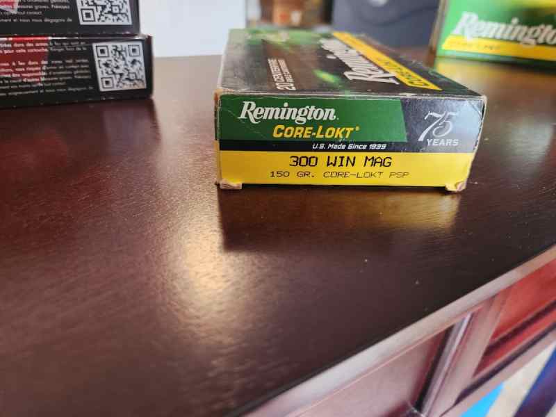 Remington_Core_Lokt_150.jpg